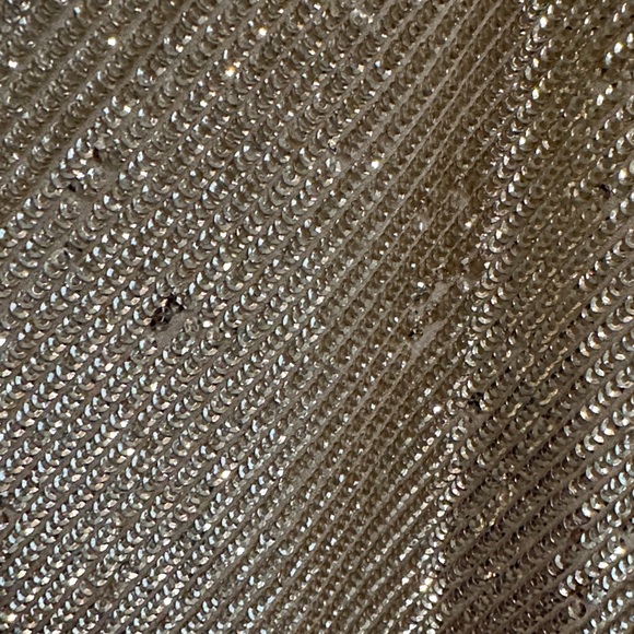 Banana Republic Gold Sequin Maxi Skirt - Picture 7 of 9